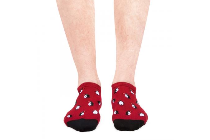 ANKLE PENGUINS RED