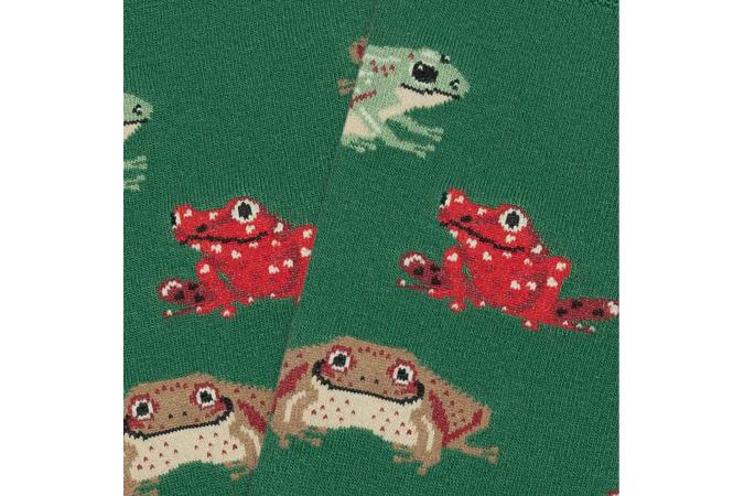 Calcetines Jimmy Lion Frogs Green