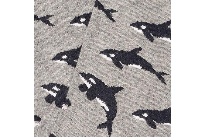 killer whales Grey