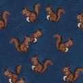 squirrels navy