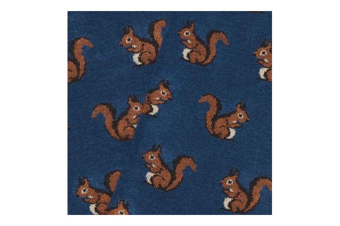 squirrels navy
