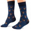 squirrels navy