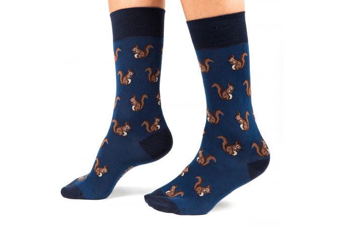 squirrels navy