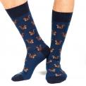 squirrels navy