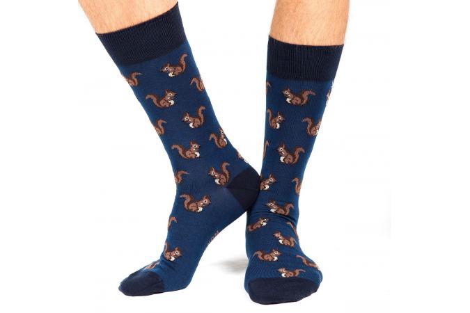 squirrels navy
