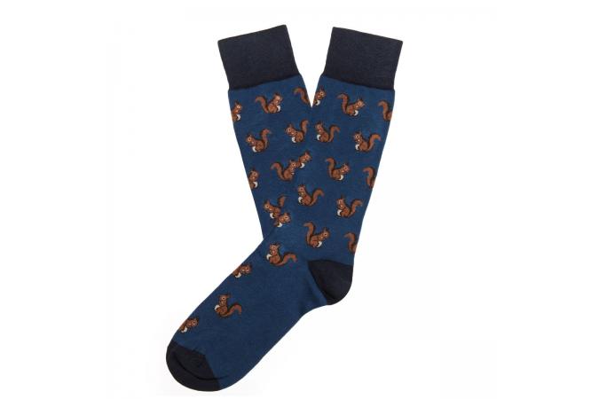 squirrels navy