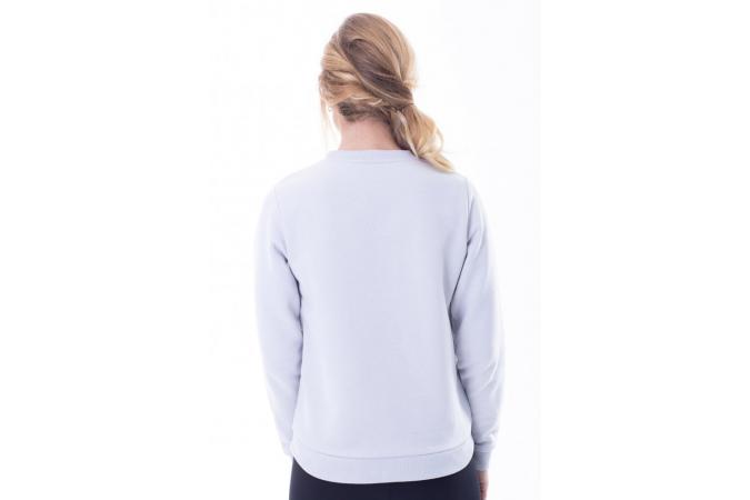 CORE SWEATSHIRT LIGHT GREY