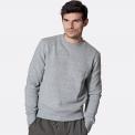 Sudadera Far Afield Crewneck Grey