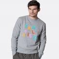 Sudadera Far Afield FA Grey