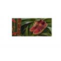 Zapatillas Heisei Gaia Goji Berry